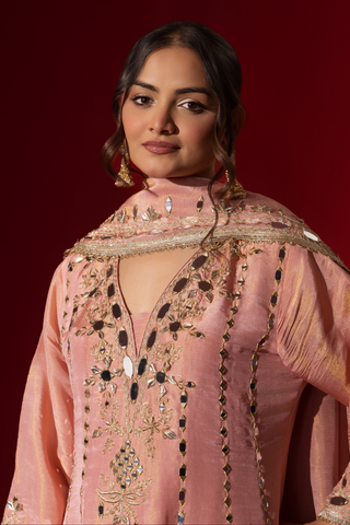 Closeup view of a person stands against a red background, wearing an elegant pink embroidered kurta set intricately embellished outfit with a matching shawl.