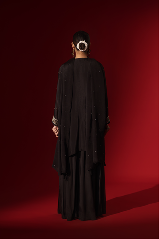 Back view of a woman showcases an elegant black embroidered kurta set with intricate gold embroidery against a rich red backdrop.