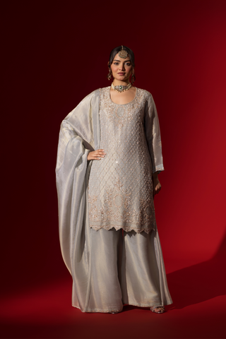 A woman stands elegantly in a shimmering silver grey embroidered gharara set, featuring intricate embroidery, paired with matching wide-legged trousers and a flowing shawl.